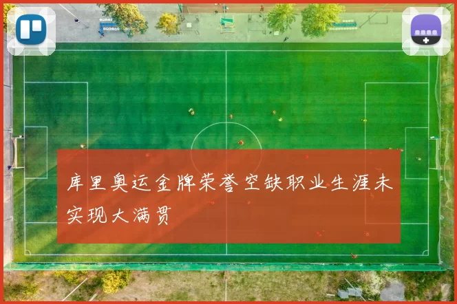 库里奥运金牌荣誉空缺职业生涯未实现大满贯